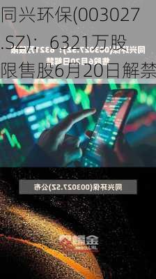 同兴环保(003027.SZ)：6321万股限售股6月20日解禁