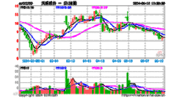 天际股份(002759.SZ)：9603万股限售股6月19日解禁