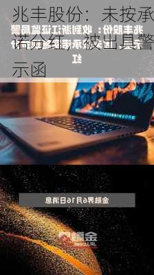 兆丰股份：未按承诺分红，被出具警示函