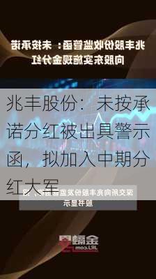 兆丰股份：未按承诺分红被出具警示函，拟加入中期分红大军