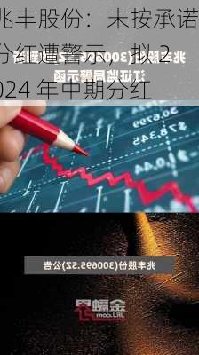 兆丰股份：未按承诺分红遭警示，拟 2024 年中期分红