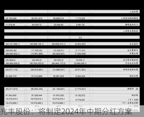 兆丰股份：将制定2024年中期分红方案