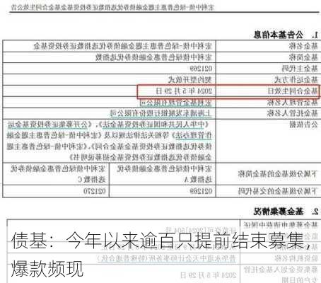 债基：今年以来逾百只提前结束募集，爆款频现