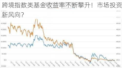 跨境指数类基金收益率不断攀升！市场投资新风向？