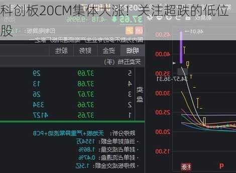 科创板20CM集体大涨！关注超跌的低位股