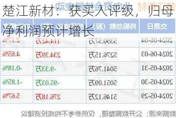 楚江新材：获买入评级，归母净利润预计增长
