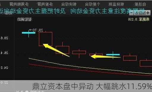 鼎立资本盘中异动 大幅跳水11.59%