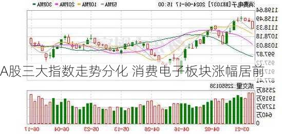 A股三大指数走势分化 消费电子板块涨幅居前