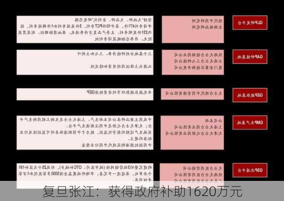 复旦张江：获得政府补助1620万元