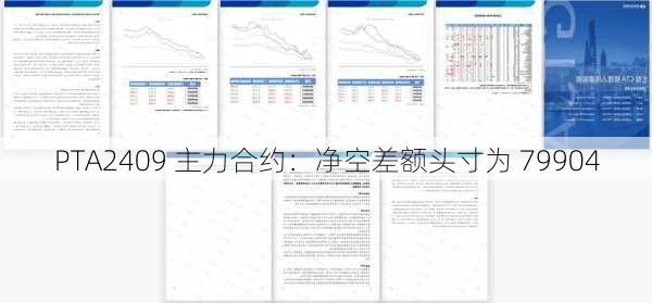 PTA2409 主力合约：净空差额头寸为 79904