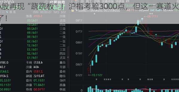 A股再现“跷跷板”！沪指考验3000点，但这一赛道火了！