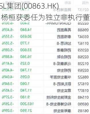 OSL集团(00863.HK)：杨桓获委任为独立非执行董事