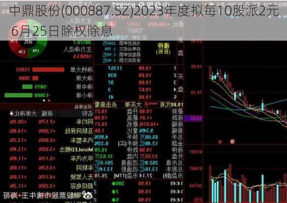 中鼎股份(000887.SZ)2023年度拟每10股派2元 6月25日除权除息