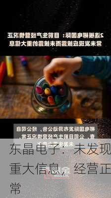 东晶电子：未发现重大信息，经营正常