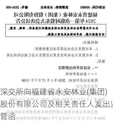 深交所向福建省永安林业(集团)股份有限公司及相关责任人发出监管函