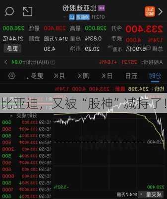 比亚迪，又被“股神”减持了！