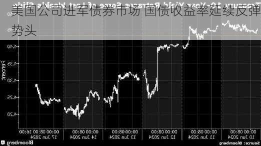 美国公司进军债券市场 国债收益率延续反弹势头