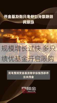 规模增长过快 多只绩优基金开启限购