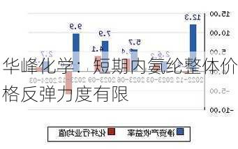 华峰化学：短期内氨纶整体价格反弹力度有限