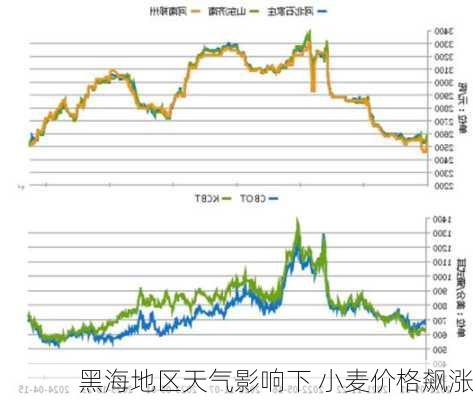 黑海地区天气影响下 小麦价格飙涨