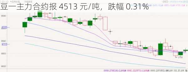 豆一主力合约报 4513 元/吨，跌幅 0.31%