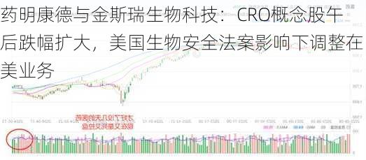 药明康德与金斯瑞生物科技：CRO概念股午后跌幅扩大，美国生物安全法案影响下调整在美业务