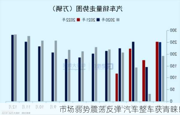 市场弱势震荡反弹 汽车整车获青睐！