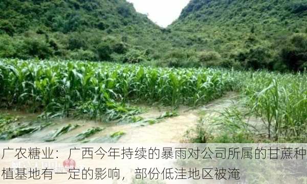 广农糖业：广西今年持续的暴雨对公司所属的甘蔗种植基地有一定的影响，部份低洼地区被淹