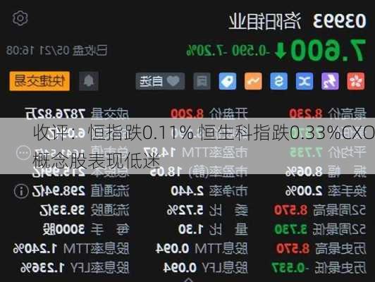 收评：恒指跌0.11% 恒生科指跌0.33%CXO概念股表现低迷