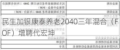 民生加银康泰养老2040三年混合（FOF）增聘代宏坤