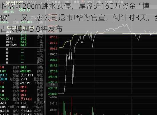 收盘前20cm跳水跌停，尾盘近160万资金“博傻”，又一家公司退市!华为官宣，倒计时3天，盘古大模型5.0将发布