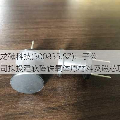 龙磁科技(300835.SZ)：子公司拟投建软磁铁氧体原材料及磁芯项目