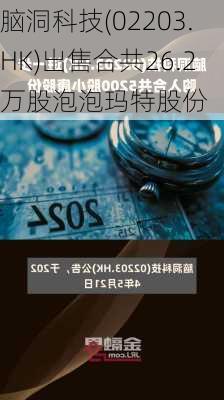 脑洞科技(02203.HK)出售合共26.2万股泡泡玛特股份