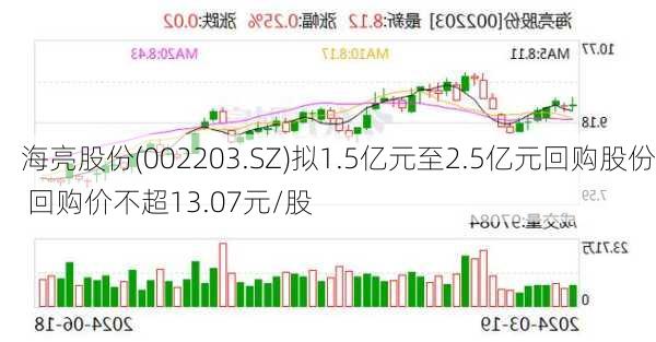 海亮股份(002203.SZ)拟1.5亿元至2.5亿元回购股份 回购价不超13.07元/股