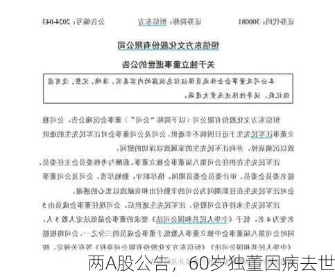 两A股公告，60岁独董因病去世