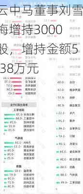 云中马董事刘雪梅增持3000股，增持金额5.38万元