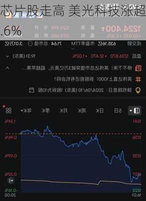 芯片股走高 美光科技涨超5.6%