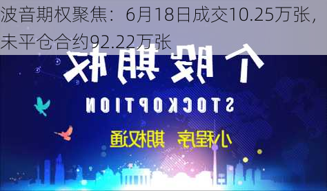 波音期权聚焦：6月18日成交10.25万张，未平仓合约92.22万张