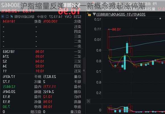 沪指缩量反弹，这一新概念掀起涨停潮