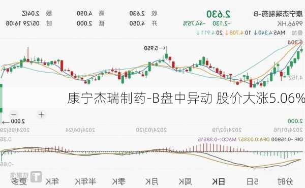 康宁杰瑞制药-B盘中异动 股价大涨5.06%