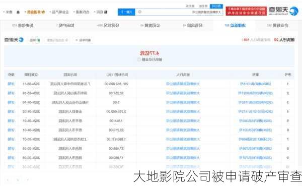 大地影院公司被申请破产审查