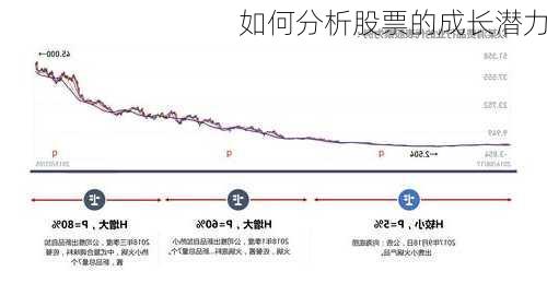 如何分析股票的成长潜力