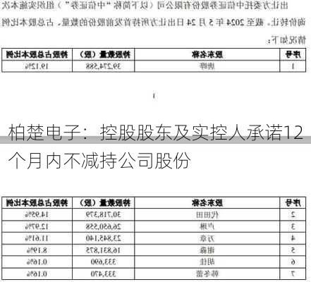 柏楚电子：控股股东及实控人承诺12个月内不减持公司股份