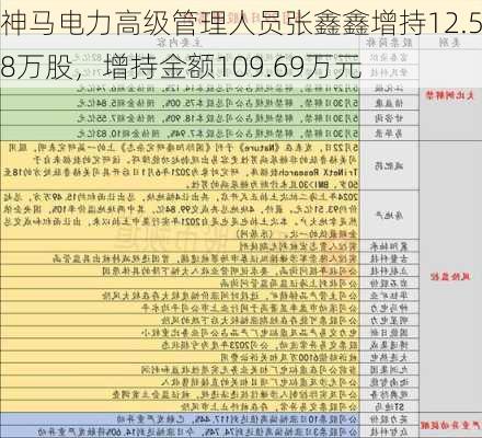 神马电力高级管理人员张鑫鑫增持12.58万股，增持金额109.69万元