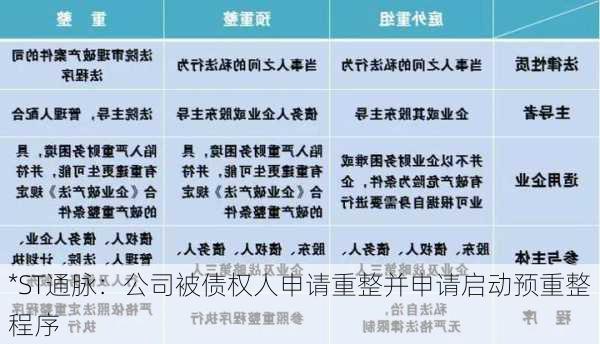 *ST通脉：公司被债权人申请重整并申请启动预重整程序