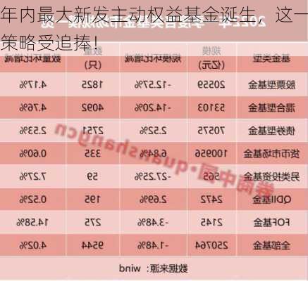 年内最大新发主动权益基金诞生，这一策略受追捧！