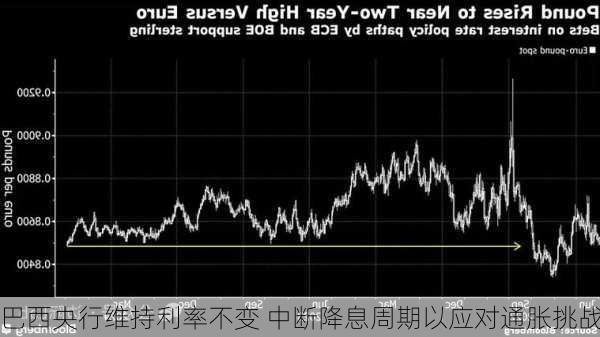 巴西央行维持利率不变 中断降息周期以应对通胀挑战