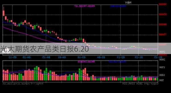 光大期货农产品类日报6.20