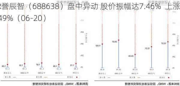 DR誉辰智（688638）盘中异动 股价振幅达7.46%  上涨7.49%（06-20）