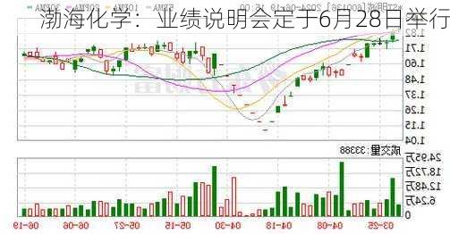 渤海化学：业绩说明会定于6月28日举行